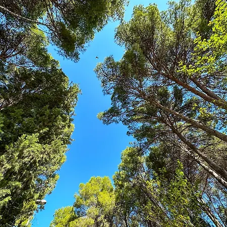 Pinos Hétvégi ház